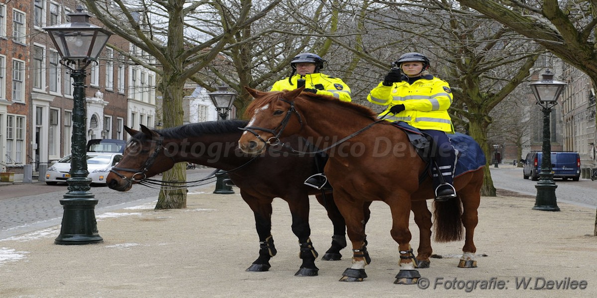 Mediaterplaatse_politie_paarden_leiden_22102017_Image00001.JPG